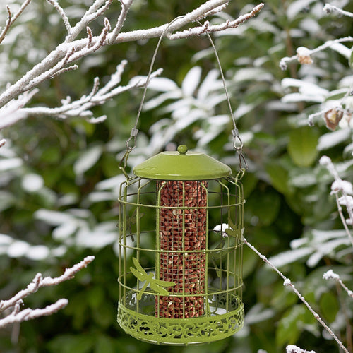 ChapelWood - Decor Squirrel Proof Peanut Feeder