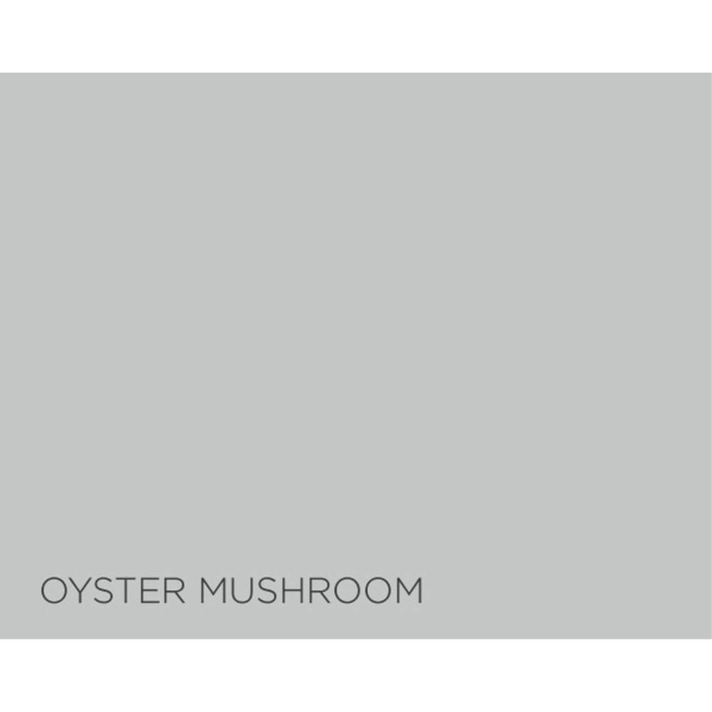 Fleetwood Prestige Pantone Oyster Mushroom 125ml