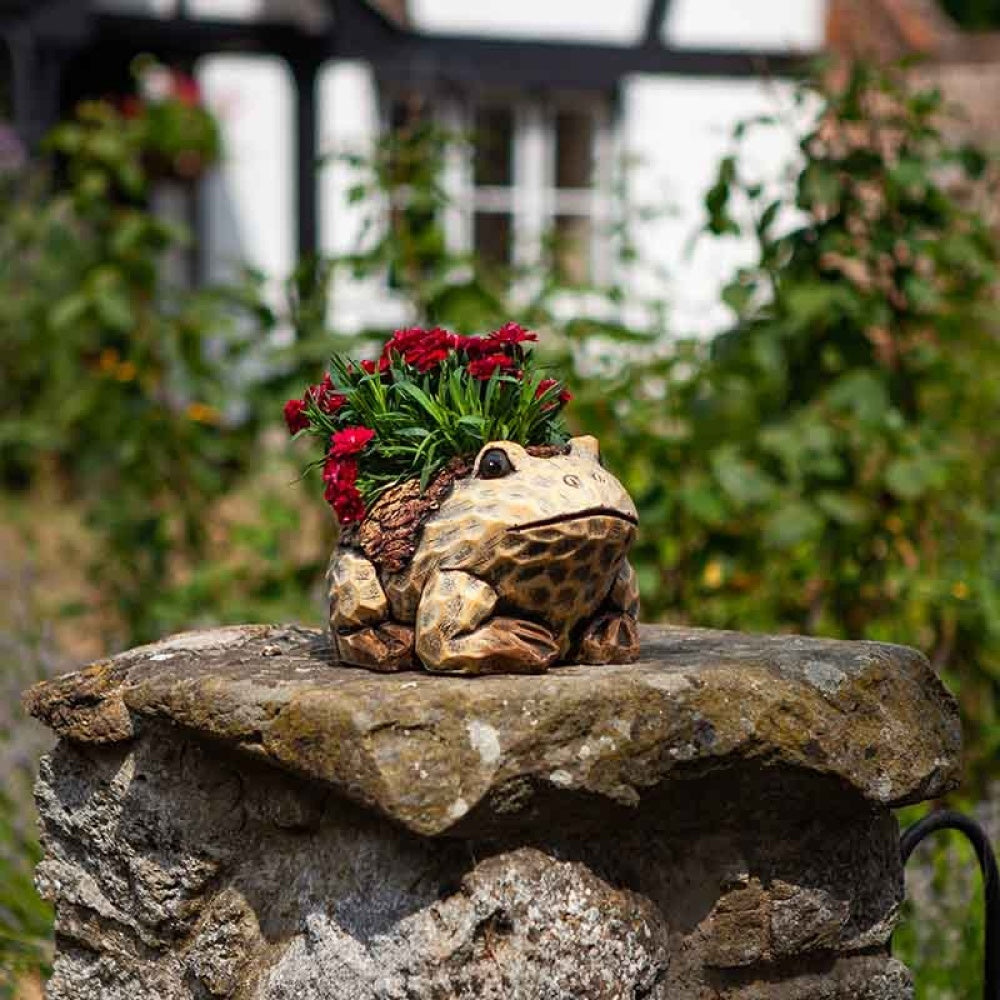 Flamboya - Frog Planter