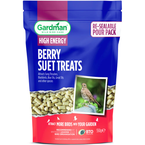 Gardman Berry Suet Treats 550g