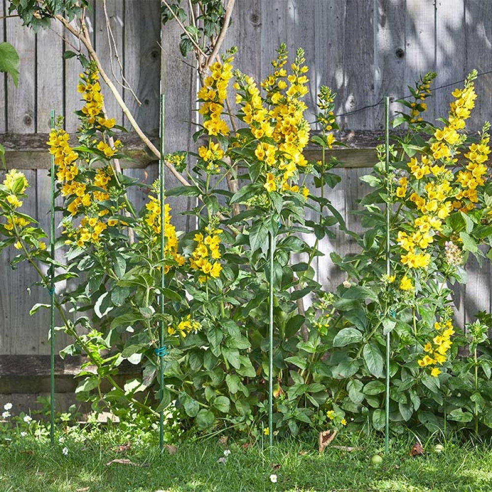 Smart Garden - Gro-Stake 1.2m x 11mm