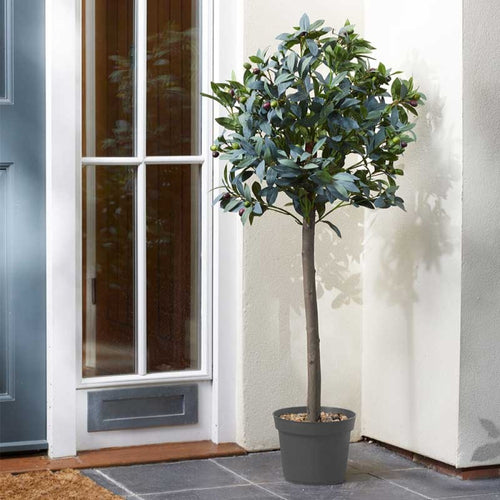 Faux Decor - Olive Tree