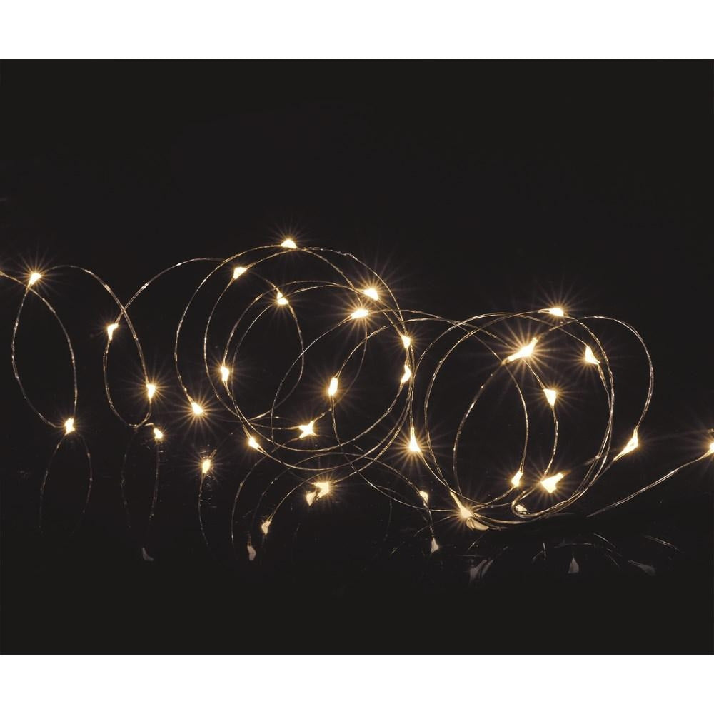 Premier Decorations - 50 LED Microbrights with Timer - Warm White