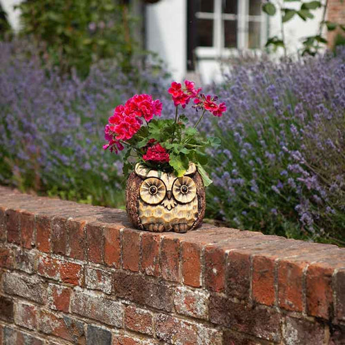 Flamboya - Owl Planter
