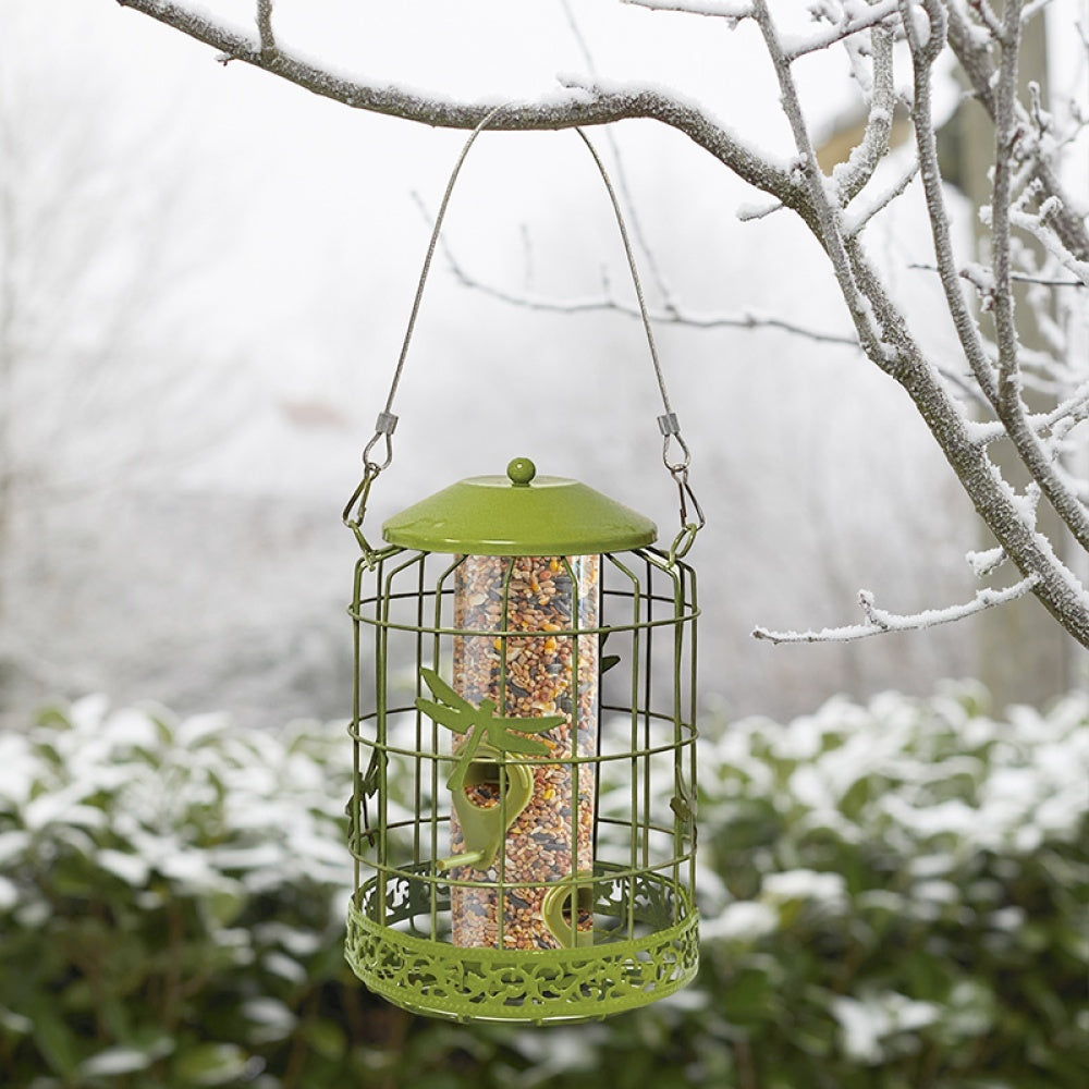 ChapelWood - Decor Squirrel Proof Seed Feeder