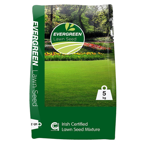 Evergreen No 2 Lawn Seed