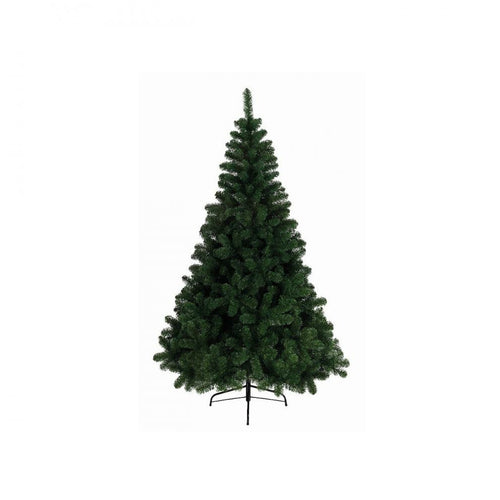 Ontario Pine Tree - 6ft