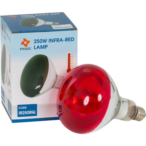 Infra Red Heat Lamp - 250w