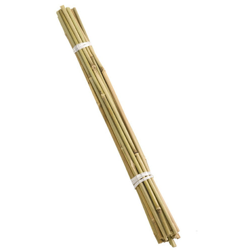 Smart Garden - 90cm Bamboo Canes - Bundle of 20